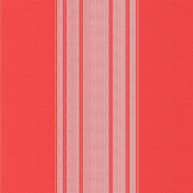 Stripe-Red-Vertex-Blind